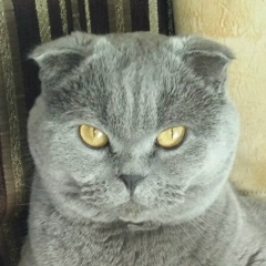 Аня Семенченко, 23.01, Санкт-Петербург