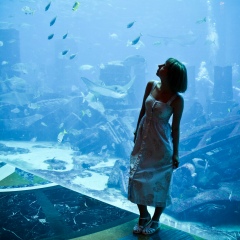 Alina Kmv, 21.03.1991, Санкт-Петербург