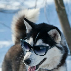 Шамиль Караманов, 13.03, Ульяновск