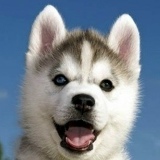 Виталий Хацкевич, 28.09, Санкт-Петербург