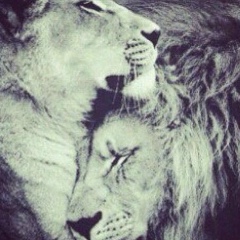 Kanat Smanov, 29.07, Алматы