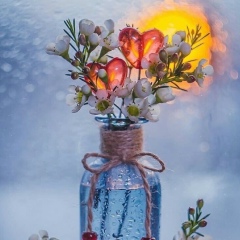 Наталья Соловьёва, 15.04, Омск