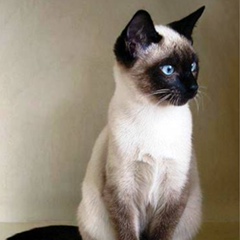 Вова Ваксман, 18.10.1981, Одесса