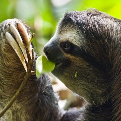 Анатолий Шоков, 28.09.1989, Санкт-Петербург