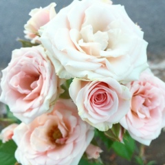 Анар Сатканова, 12.02, Астана