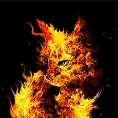 Данила Никодимов, 02.04, Воронеж