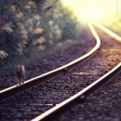 Oleg Suhinin, 18.06, Орёл