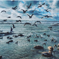 Кундыз Абдир, 07.02.1993, Актобе