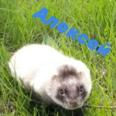 Вера Кулишова, 18.06, Кемерово