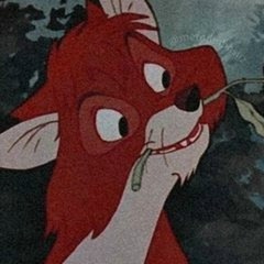 Дмитрий Островский, 21.09, Санкт-Петербург