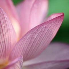 Ясмина Усманова, 10.08.1989, Санкт-Петербург