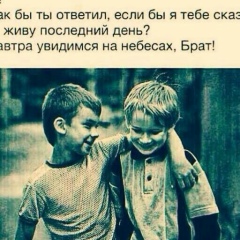 Шамиль Закиев