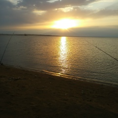 Zurab Zur, Шымкент