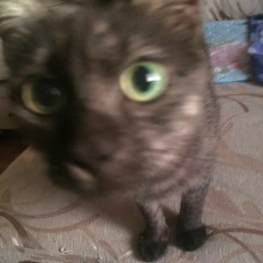 Мария Малая, 26.01, Санкт-Петербург