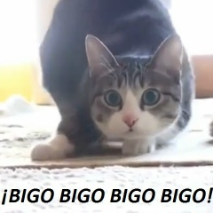 Yơŋ Ĝơmes, 25.06.1998, Medellín