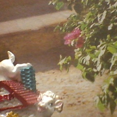 Андрей Павлов, 06.12.1980, Актау