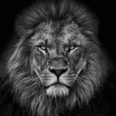 Павел Дорменок, 26.07, Вологда