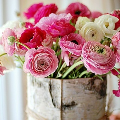 Ксения Бащук, 11.06.1989, Москва