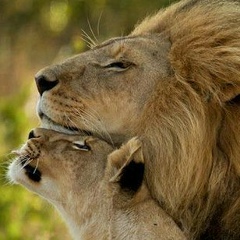 Азамат Ягудин, 06.08.1987, Уфа