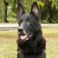 Игорь Андрианов, 22.05, Пермь