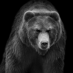 Павел Медведев, 28.08.1983, Санкт-Петербург