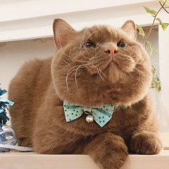 Виктория Подлесная, 19.04, Санкт-Петербург