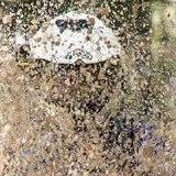 Виктор Цыганков, 19.05.1987, Санкт-Петербург