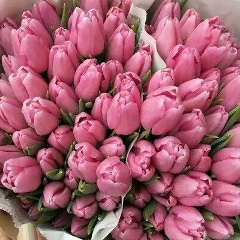 Гули Рахимова, 01.04.1979, Ташкент