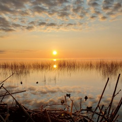 Дима Дмитриев, 17.08.1980, Персиановский