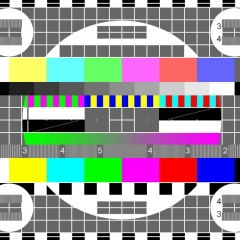 Владимир Туровец, Санкт-Петербург