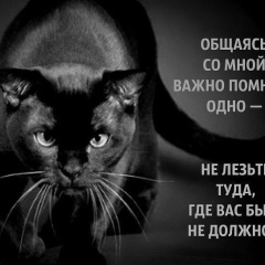 Олеся Туишева, 21.12.1980, Самара