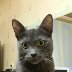 Юрий Михайлович, 20.06.1945