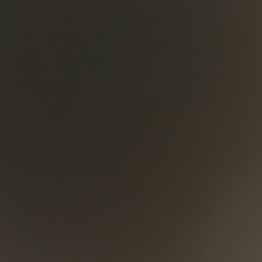 Ирина Петрук, Москва