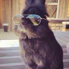 Алекс Маски, 11.04, Орёл