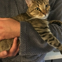 Бздышек Западловский-Опасевич, 20.07, Санкт-Петербург