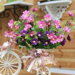 Damelya Koshkumbaeva, 11.09.2006, Жанаозен