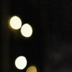 Ромуальд Пулькин, Санкт-Петербург