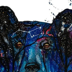 Михаил Фёдоров, 18.09.1992, Усть-Каменогорск