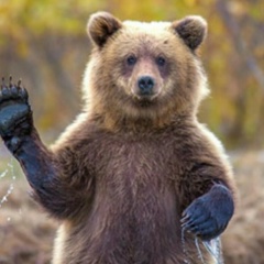 Александр Комар, 09.01.1994, Москва