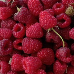 Наталья Денисова, Москва