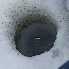 Алексей Уколов, 09.04, Новосибирск