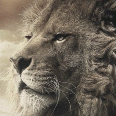 Мухамед Исманов, 25.09, Санкт-Петербург