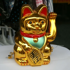 Дмитрий Васькин, 13.11.1985, Санкт-Петербург