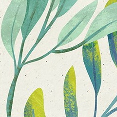 Алина Сазонова, 26.11, Киев