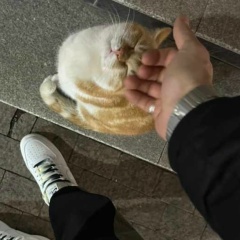 Gelani Dadaev, 19.06, Грозный