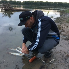 Алексей Колоколов, 26.01.1989, Новосибирск