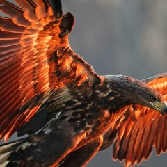 Евгений Савин, 17.04.1993, Красноярск