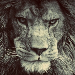 Мухаммад Бакриев, 10.07.1989, Абакан