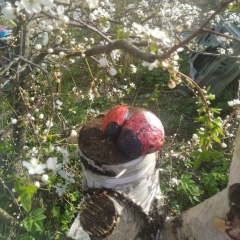 Анастасия Цуканова, 15.05.1987, Санкт-Петербург