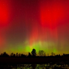 Shifo Mamadatoeva, Бишкек